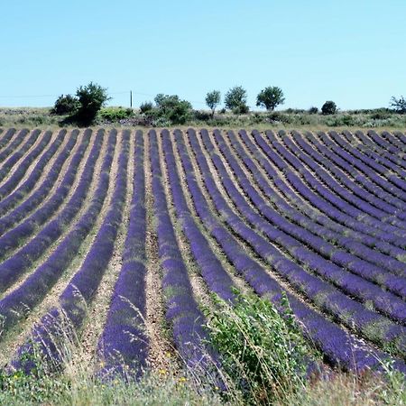 La Terrasse D'Olea, Au Coeur Du Village بوي ليه باروني المظهر الخارجي الصورة