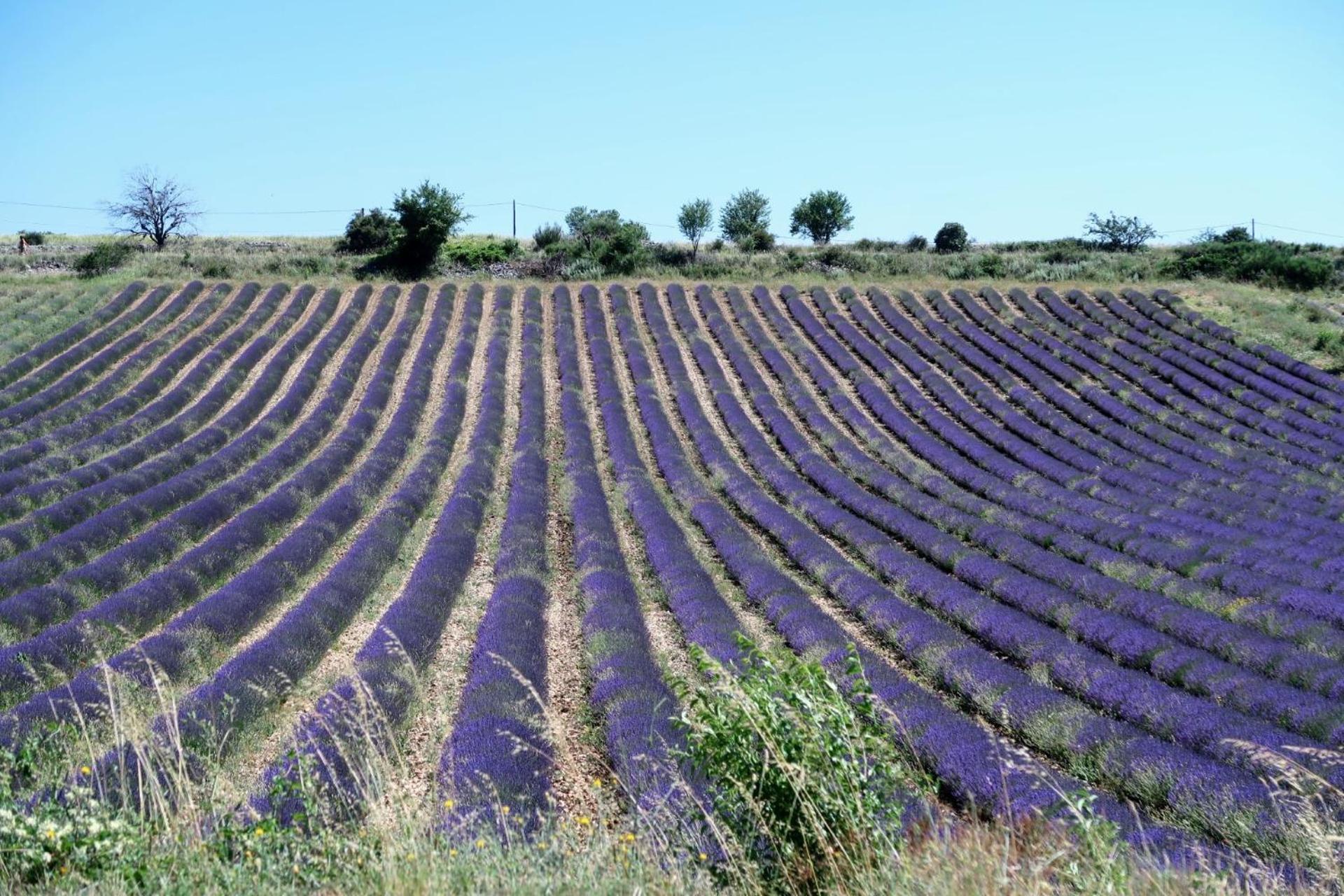 La Terrasse D'Olea, Au Coeur Du Village بوي ليه باروني المظهر الخارجي الصورة