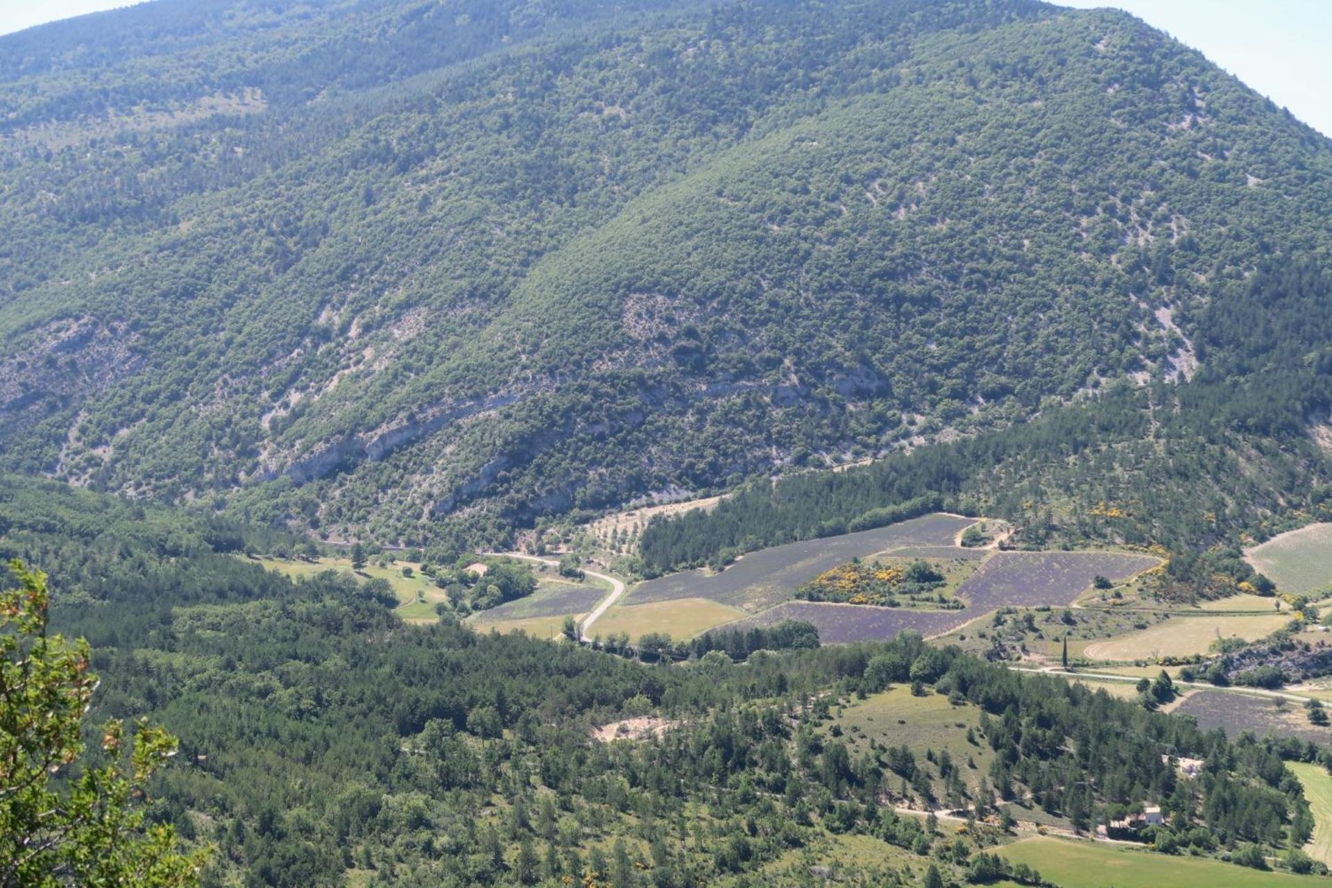 La Terrasse D'Olea, Au Coeur Du Village بوي ليه باروني المظهر الخارجي الصورة