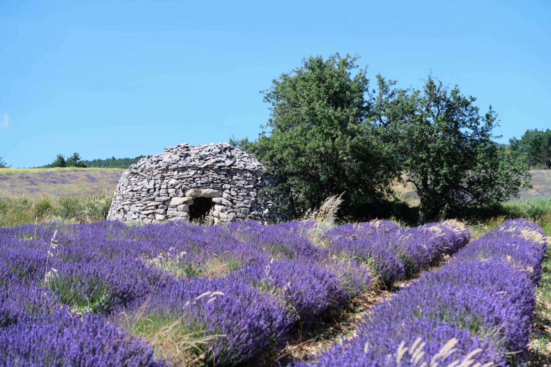 La Terrasse D'Olea, Au Coeur Du Village بوي ليه باروني المظهر الخارجي الصورة
