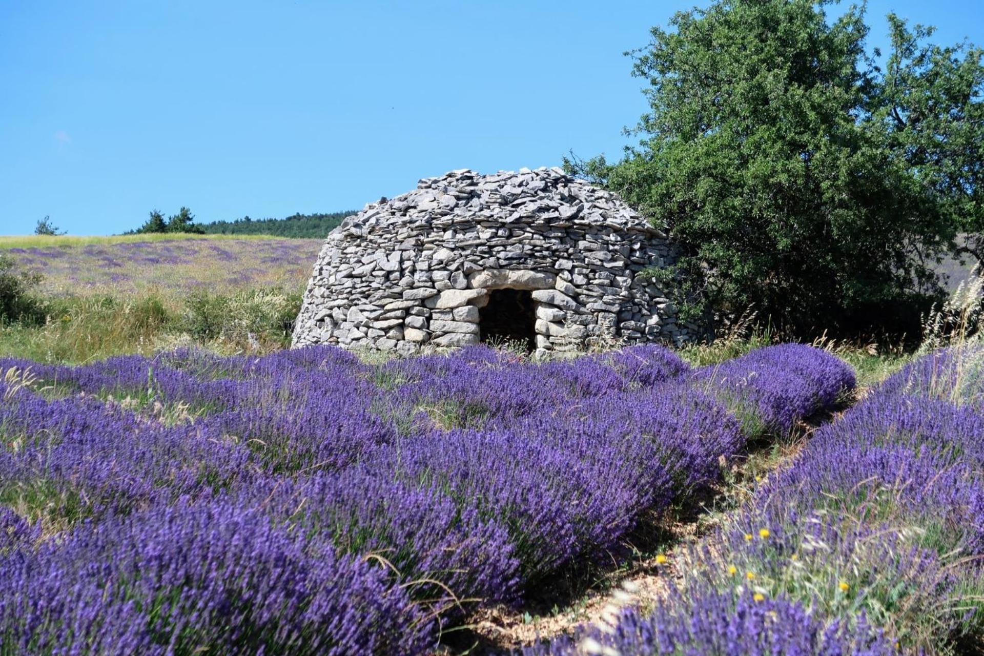 La Terrasse D'Olea, Au Coeur Du Village بوي ليه باروني المظهر الخارجي الصورة