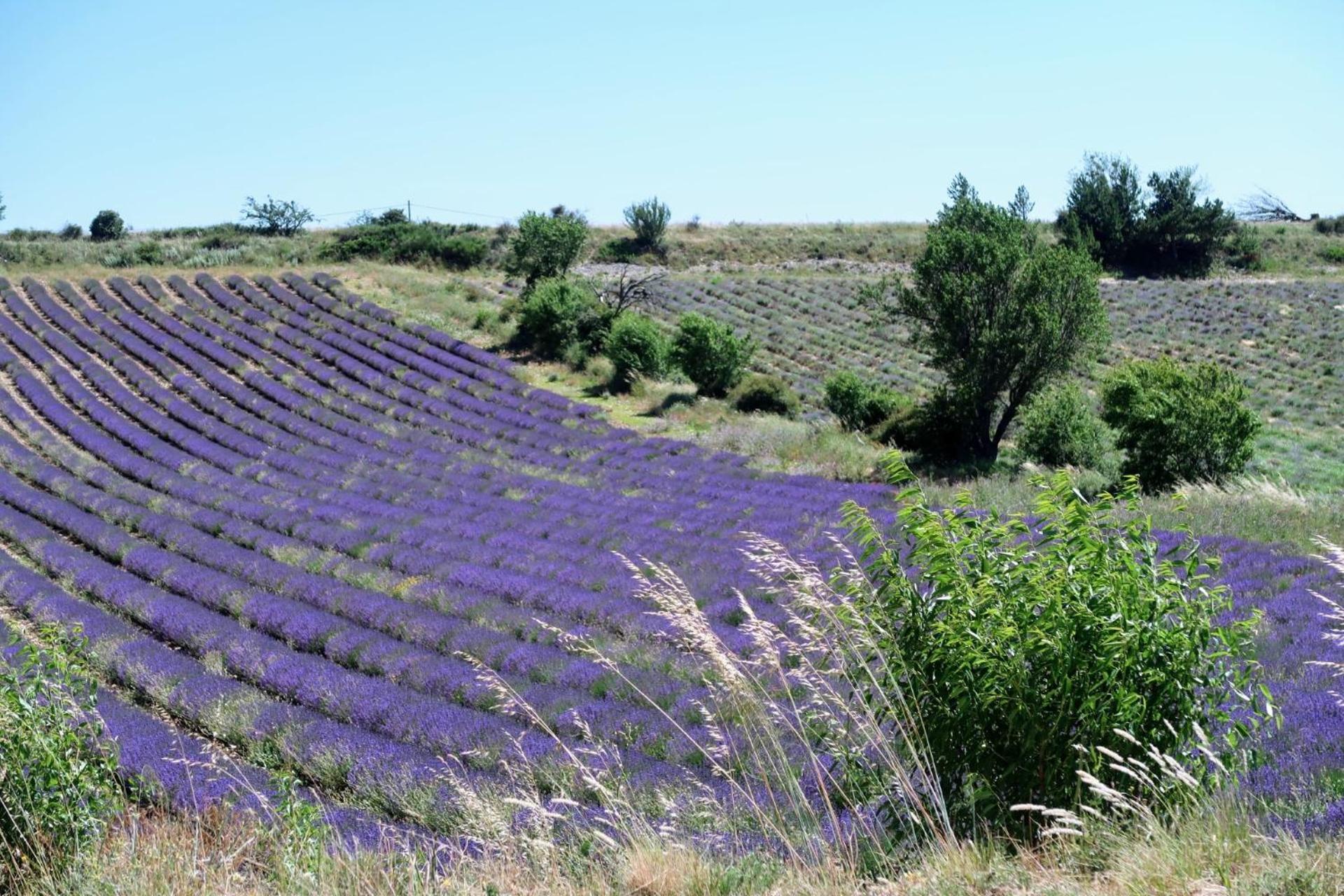 La Terrasse D'Olea, Au Coeur Du Village بوي ليه باروني المظهر الخارجي الصورة